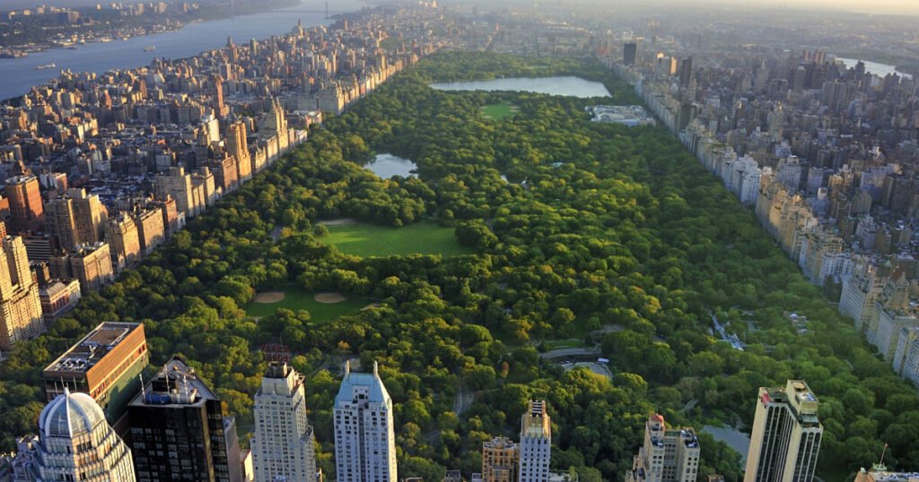 IT support for healthcare organizations in Manhattan